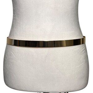 Gold Metal Waist Belt Witchy Whimsigoth Princess Fairy Styling Whimsical Chain